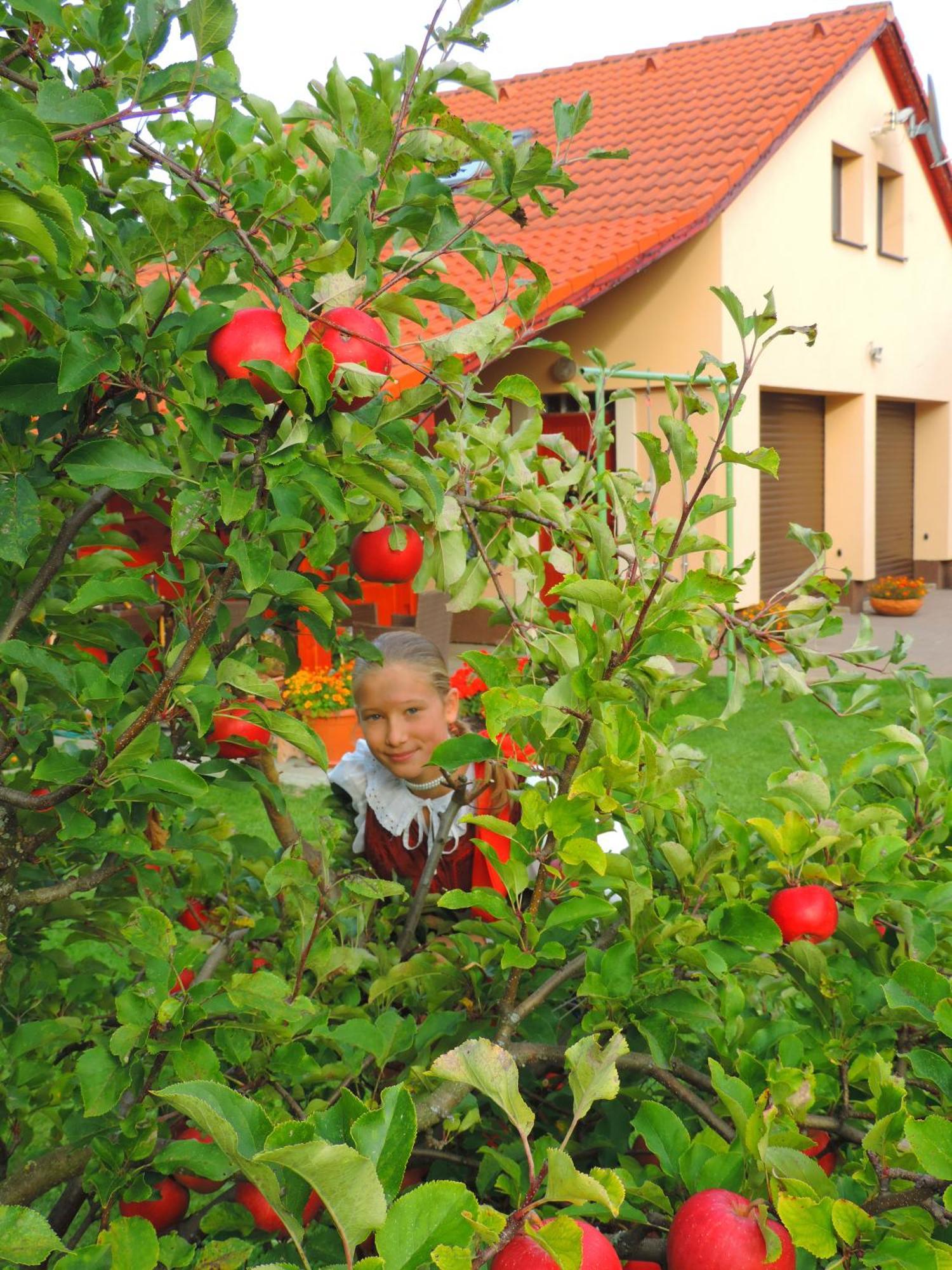 Holiday Home Linda Liptovský Mikuláš Exterior foto